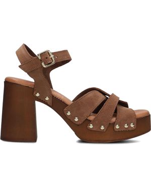 Notre-v Sandalen 8509 Damen - Braun