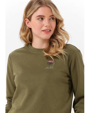 Scotch & Soda Sweatshirt Regular Fit Crewneck Sweater Damen - Grün