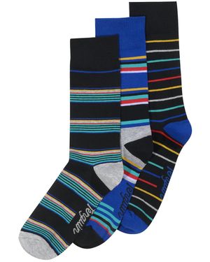 Original Penguin 3 Pack Striped Socks In Black/blue