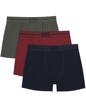 Original Penguin 3 Pack Plain Underwear In Blue/red/green