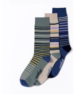 Original Penguin 3 Pack Multi Striped Socks In Blue