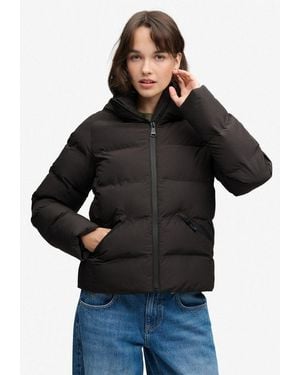 Superdry Steppjacke Hooded City Padded Jacket Kunstfaser, Relaxed Fit - Schwarz