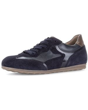 Gabor Sneaker Schnürschuh, Halbschuh Mit Modischen Kontrastbesätzen, G-Weite - Blau
