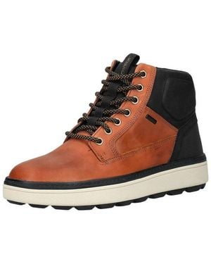 Geox Stiefelette Leder/Textil Schnürstiefelette - Braun