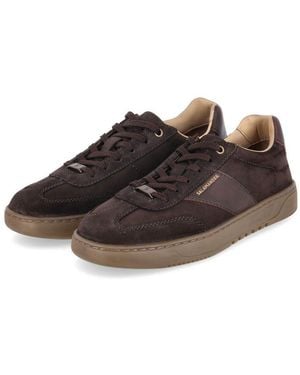 Salamander Sneaker Low E31Aya011415-6161 Herren Rauleder Schnürschuh - Schwarz