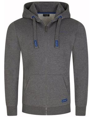 DENIMFY Kapuzensweatjacke Herren Sweatjacke Dfleo Regular Fit Hoodie Mit Kängurutasche - Grau