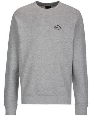 Replay Sweatshirt Sw Small Logo - Grau