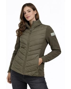 Sublevel Steppjacke Hybrid Jacke Leichte Übergangsjacke Kapuzenjacke Gesteppte Stepp-Front & Sweat-Ärmel - Grün