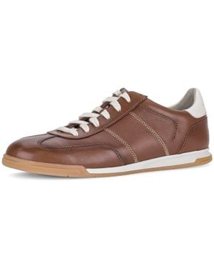 Gabor Sneaker, Freizeitschuh, Komfortschuh, Schnürschuh Mit Kontrastnähten, G-Weite - Schwarz