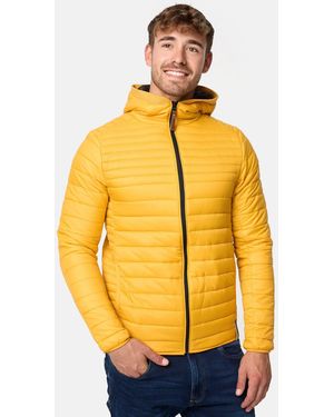 INDICODE Winterjacke Bowers - Gelb