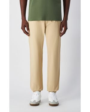 Champion Webhose - Schwarz