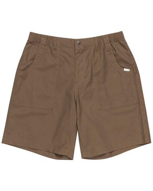 Element Chinoshorts Solace 18.8 - Braun