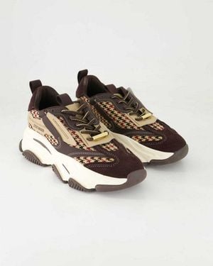 Steve Madden Possession-E Sneaker Obermaterial: Leder Und Textil - Braun