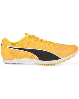PUMA Evospeed Distance 11 - Orange