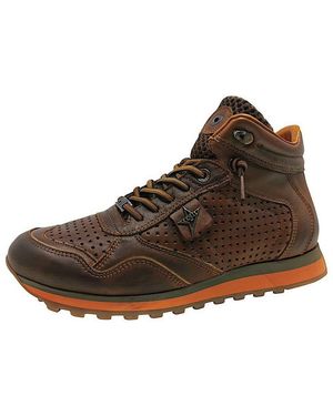 Cetti Sneaker - Braun