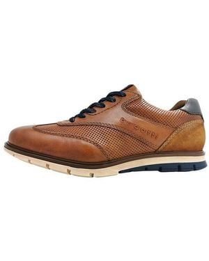 Bugatti Schnürschuh - Braun