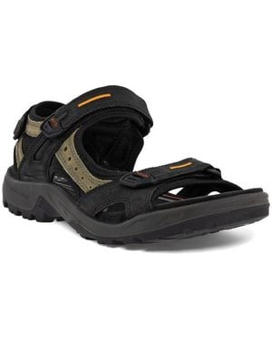 Ecco Yucatan (Offroad) Leder/Grün Herren Sandale - Schwarz