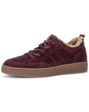 Gabor Sneaker Low Sneaker - Braun