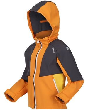 Regatta Softshelljacke Jacke mit Kapuze Haydenbury - Orange