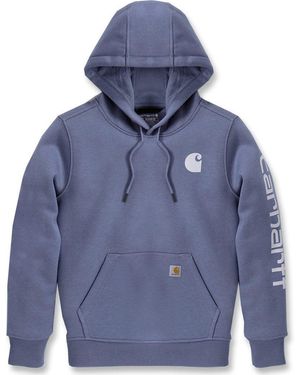 Carhartt Rundhalspullover Graphic 102791 - Blau