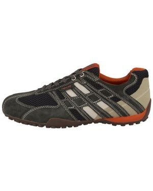Geox U Snake K Herren Sneaker Turnschuhe, Sportschuhe, Freizeitschuhe, Halbschuhe, Schnürschuhe - Braun