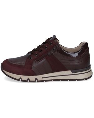 Caprice M2376847 Sneaker - Braun
