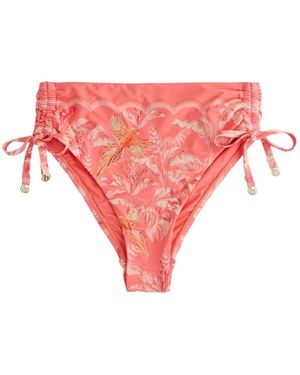 Ted Baker Bikini-Hose bauchformender Hochbund-Slip (1-St) - Pink