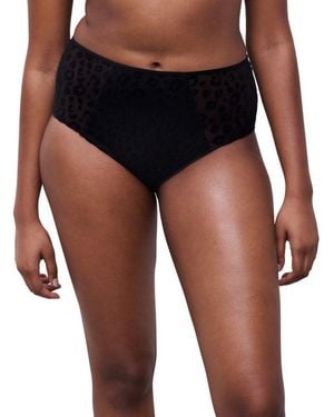 Chantelle Taillenslip Girls Tüll, Blickdichtes Gewebe, Velvet - Blau