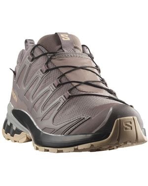 Salomon Xa Pro 3D V9 Gore-Tex W Trailrunningschuh Wasserdicht - Grau