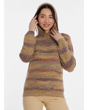 Ragwear Kapuzenpullover Ofina Pflegeleichter Materialmix, Mit Kapuze - Braun