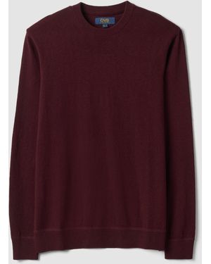 OVS Maglia Rossa - Viola