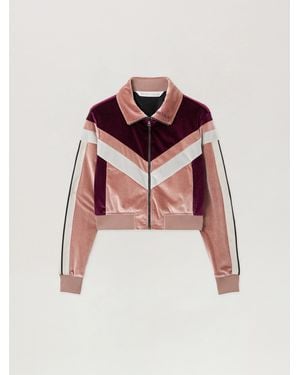 Palm Angels Cropped Velvet Jacket - Pink