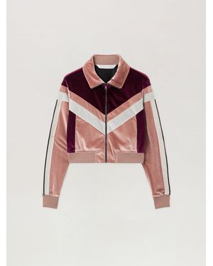 Palm Angels Cropped Velvet Jacket - Pink