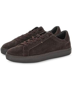 Paul & Shark Suede Trainers - Brown