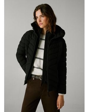 Pepe Jeans Daunenjacke Gepolstert Wasserdicht - Schwarz