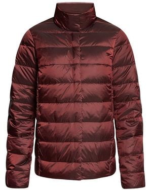 Betty Barclay Daunen-Steppjacke - Rot