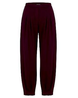 Peter Hahn Enkellange Jersey Broek Van - Rood
