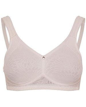 SUSA Bh sevilla - Pink