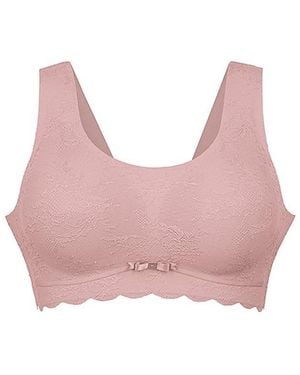 Anita Bralette Essential Lace - Pink