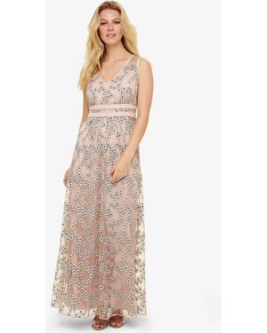 Phase Eight Coraline Lace Dress - Multicolour