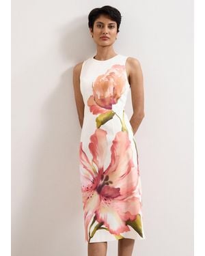 Phase Eight Nadina Floral Shift Dress - White