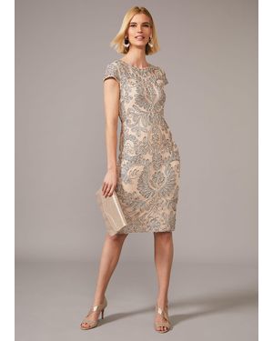 Phase Eight Genevieve Tapework Lace Dress - Multicolour