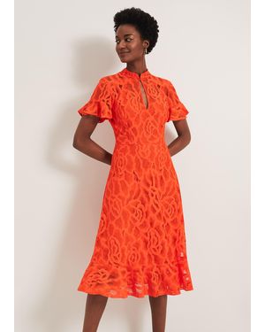 Damsel In A Dress Damsel - Red