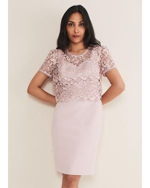 Phase Eight Petite Isabella Lace Midi Dress - Pink