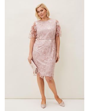 Phase Eight Harlow Sequin Lace Dress - Pink