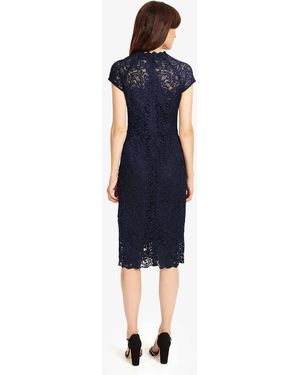 phase eight becky lace dress Phase Eight Becky Chambray Dress in Blue