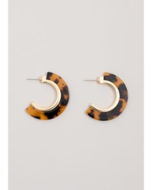 Phase Eight Tortoiseshell Hoop Earrings - Brown