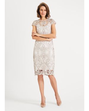 Phase Eight Frances Lace Dress - Multicolour
