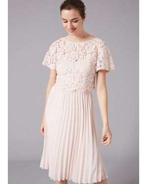 Phase Eight Bettina Floral Lace Bodice Pleated Skirt Dress - Pink