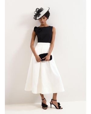 Phase Eight Petite Perla Dress - White
